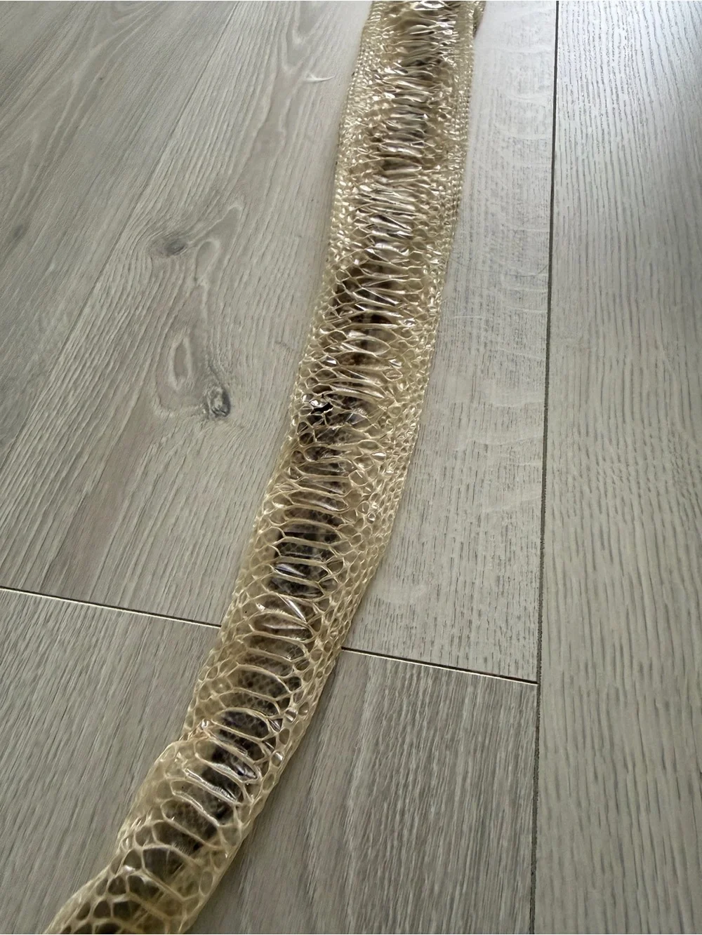 N/A authentic brown